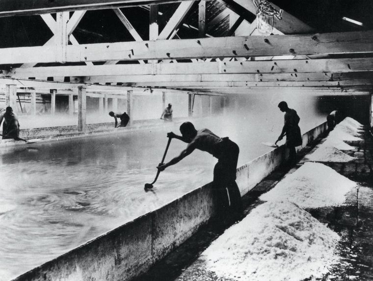 Explore Your Archives Salt History in the Making Saltscape