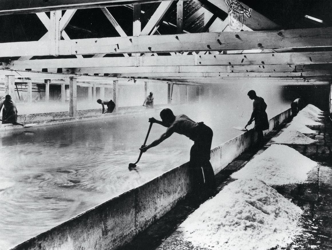 Story of the Saltscape Saltscape